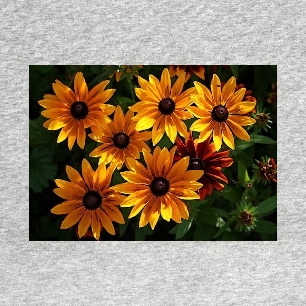 Orange Daisies by RedHillDigital